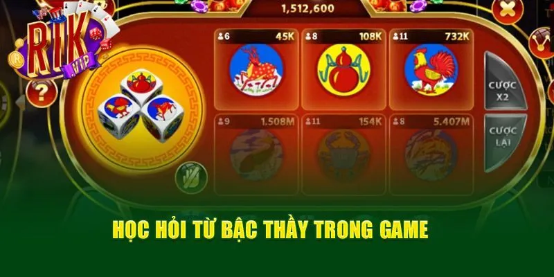 Kinh nghiệm áp dụng cách đoán bầu cua hiệu quả cach-doan-bau-cua-hoc-hoi-kinh-nghiem